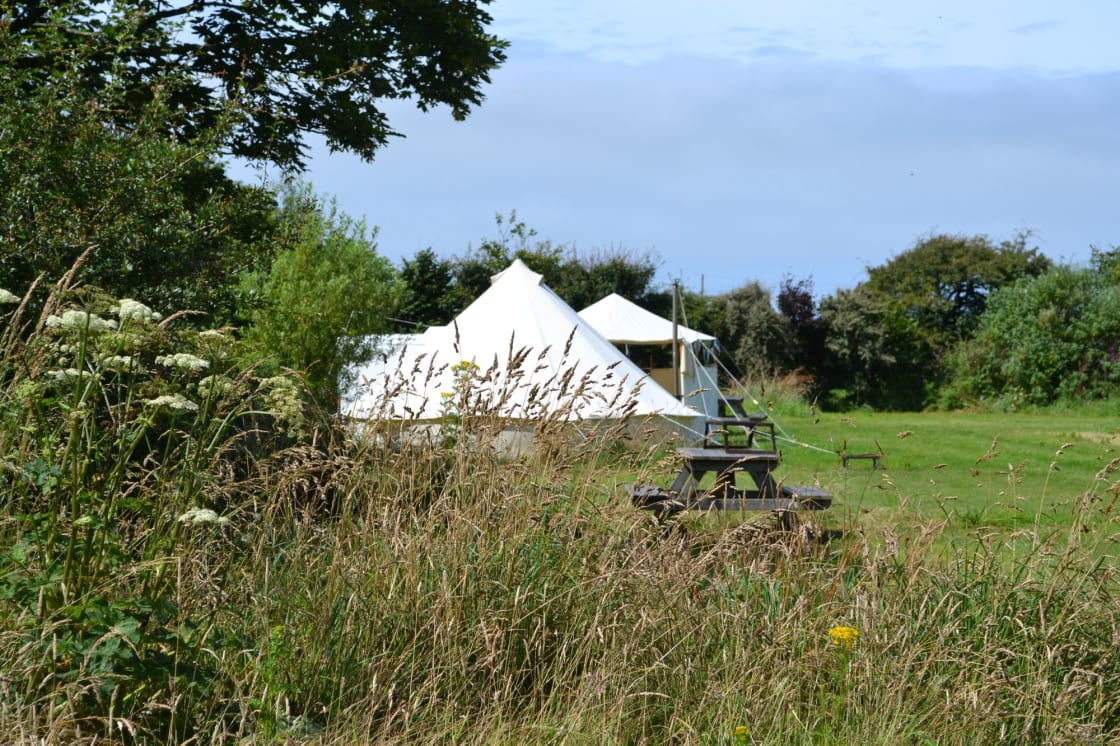 Grass pitch, 1 of 5 - main camping field