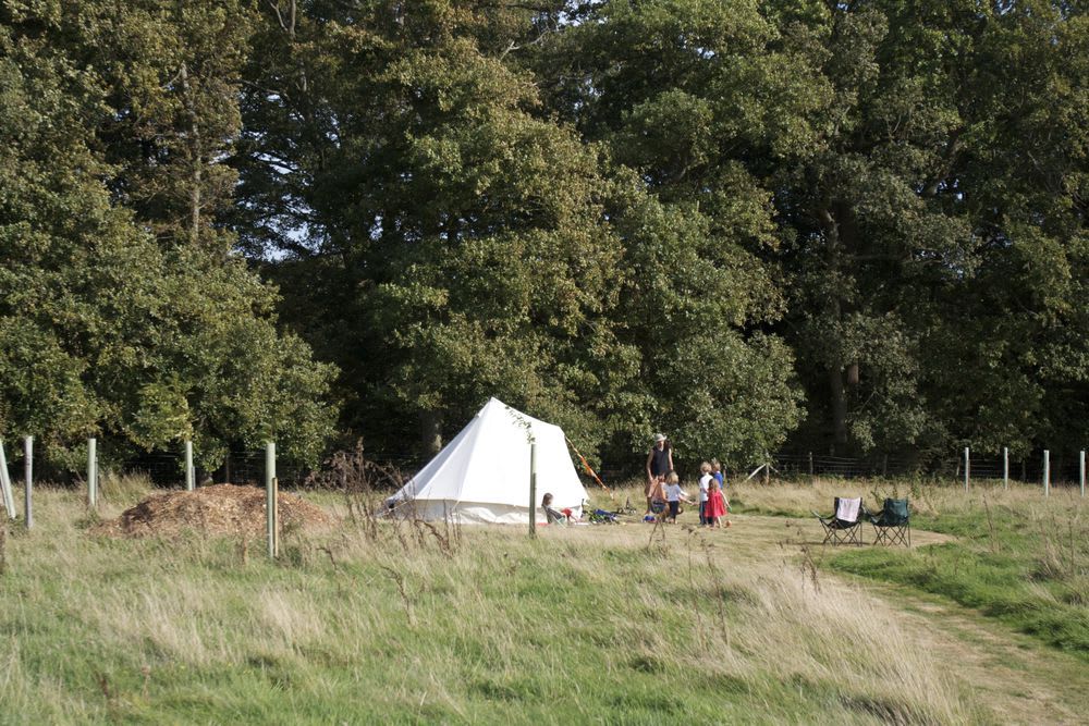 Meadow Camping Pitch 