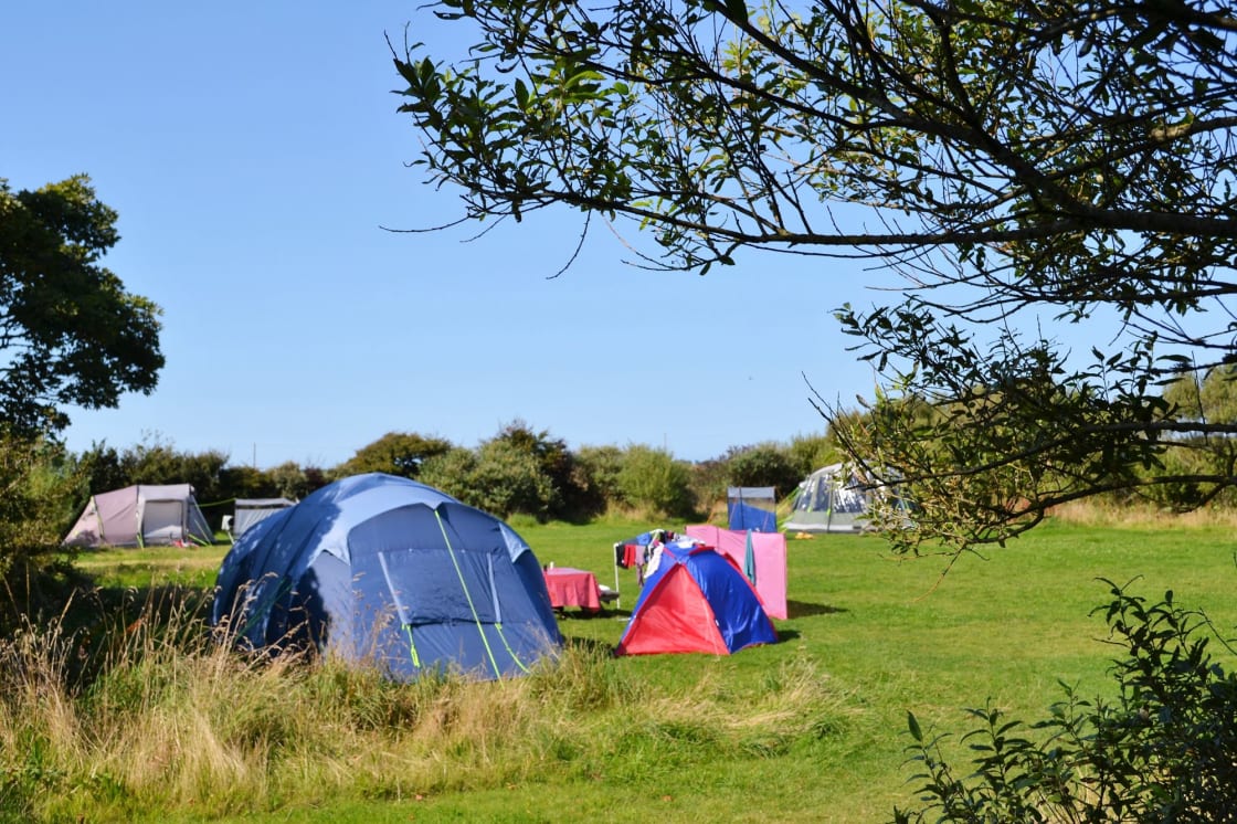 Grass pitches - main camping field
