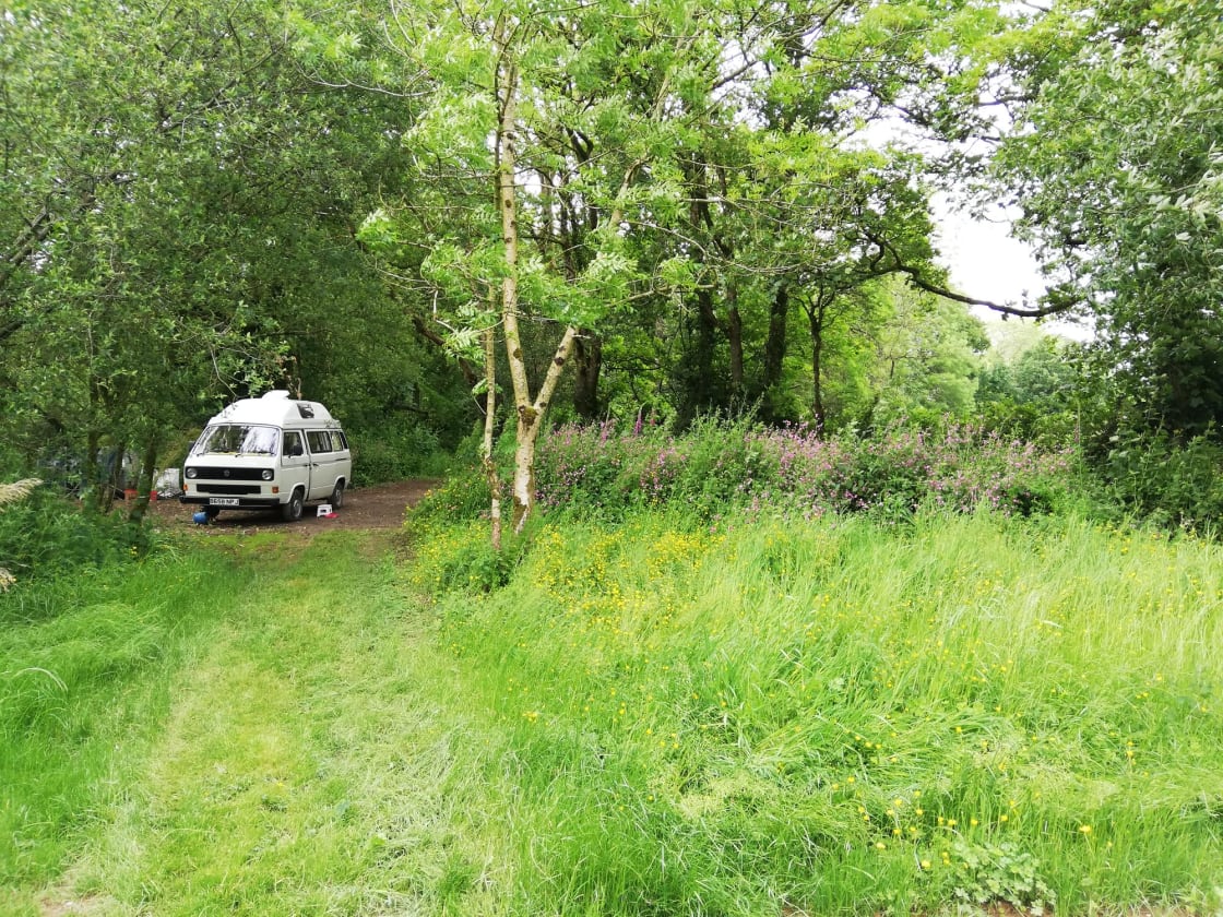 A campervan occupies a smaller clearing at Digs in the Wigs campsite, on the southern edge of Pembrokeshire's Preseli Hills.