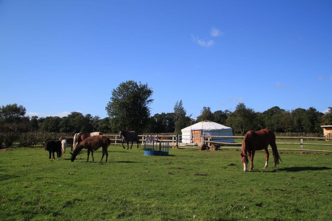 Farmyard glamping; what’s not to love?
