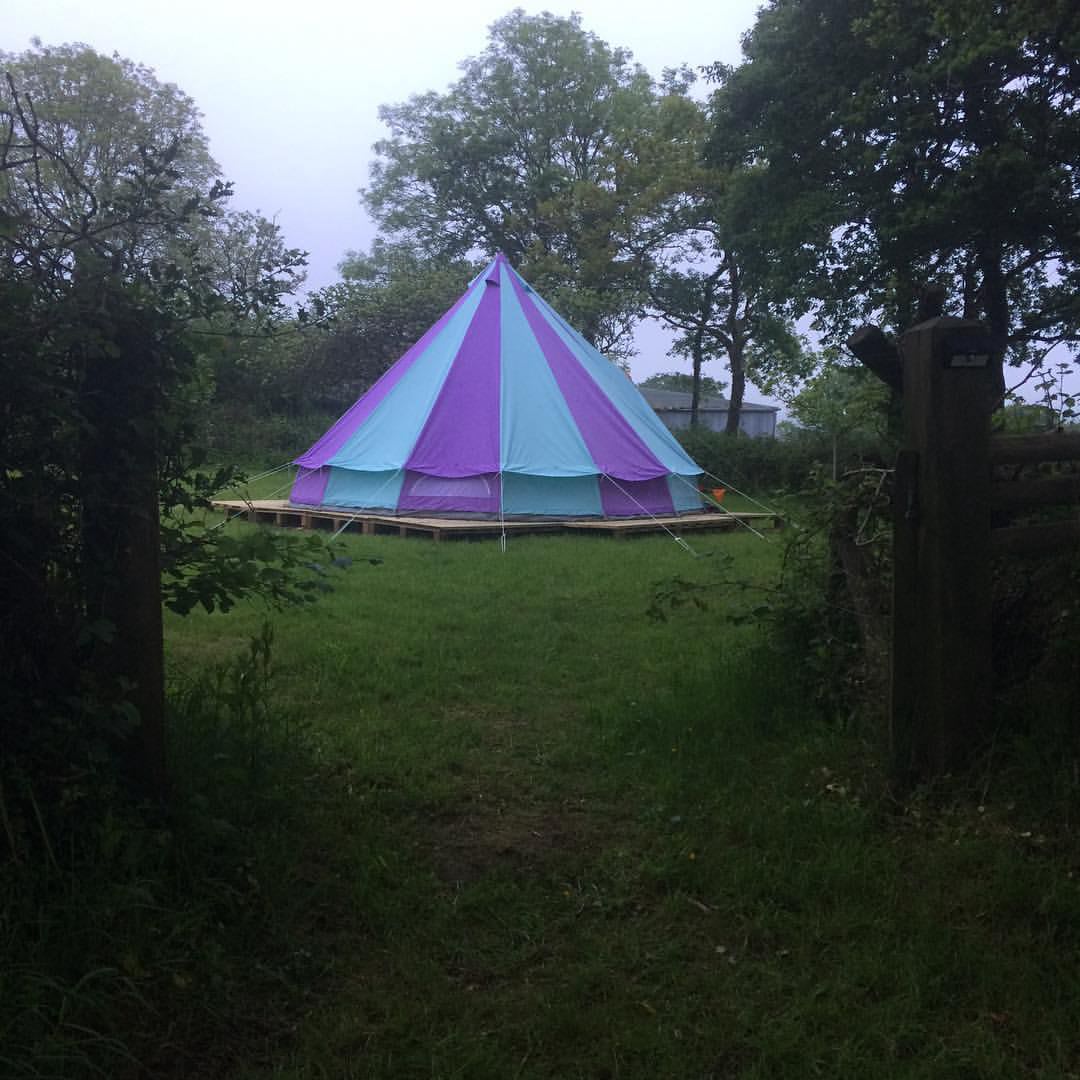 Harlequin Bell tent -in the Orchard 