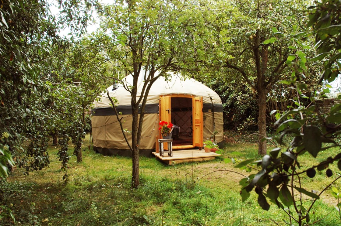 Orchard Yurt