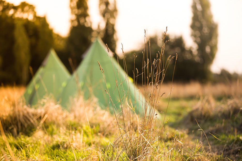 Twitey’s Tipis and Camping Meadows