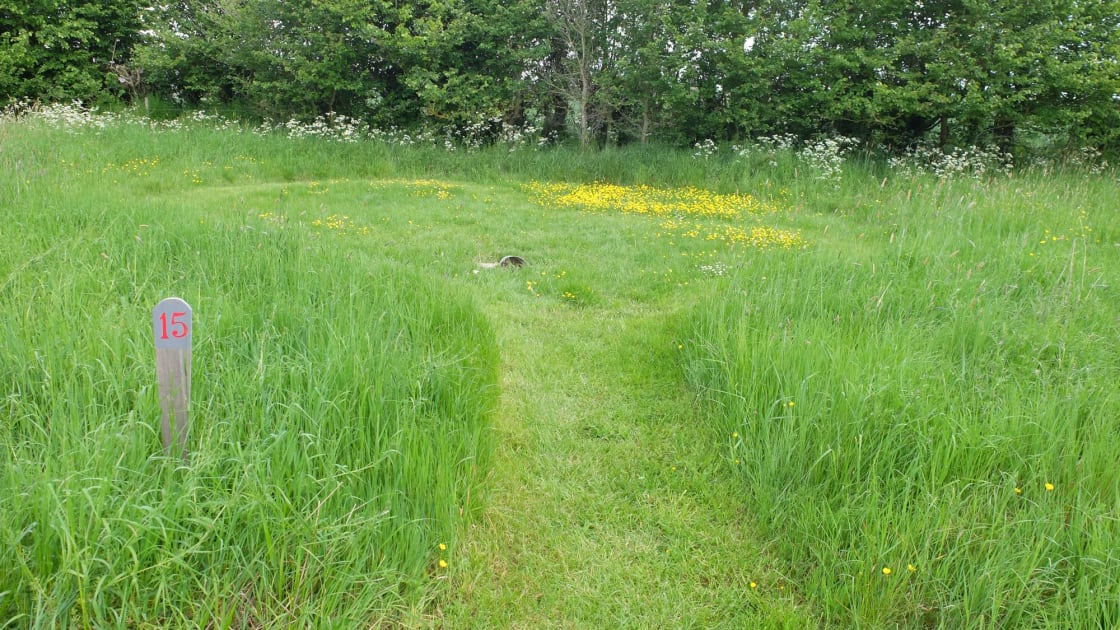 Standard Grass Pitch