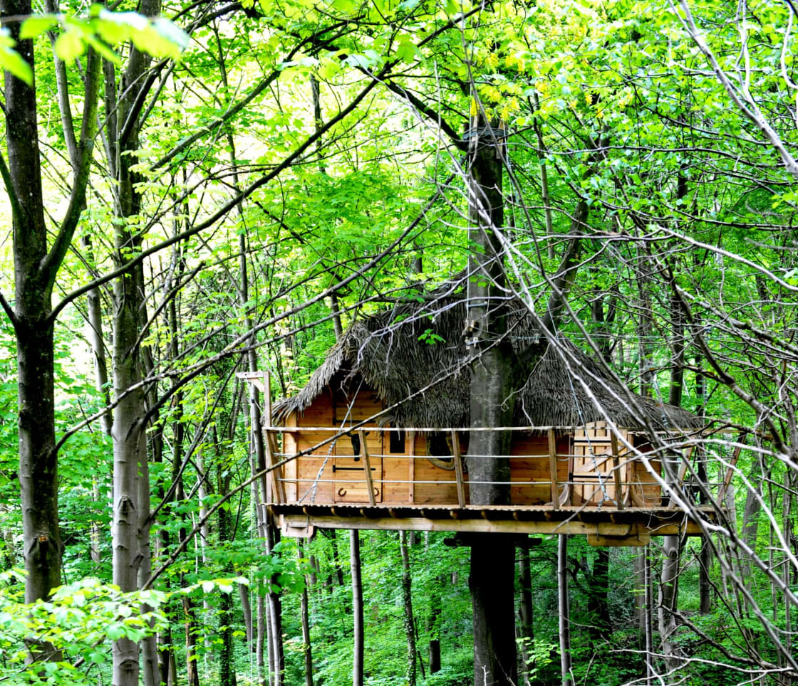 "Le Fer à Cheval" Tree House