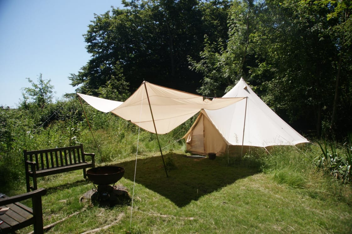 Bell Tent in the Wood