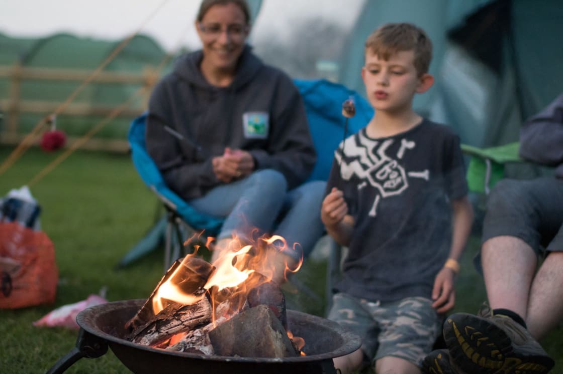 Family-friendly, traditional New Forest camping with a pub next door and footpaths leading directly from the gateway.