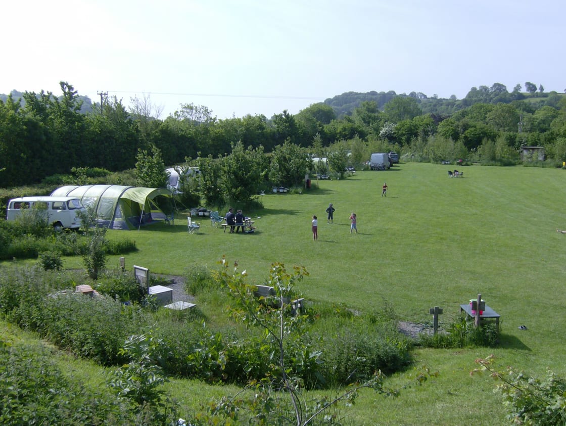 Wookey Farm Campsite: Eco-friendly, campfire-friendly, family-friendly camping on the farm – plus Somerset's famous Wookey Hole caves on the doorstep.