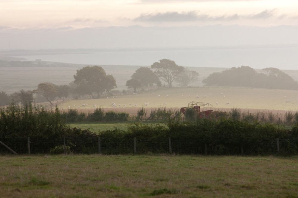 Lunsford Farm
