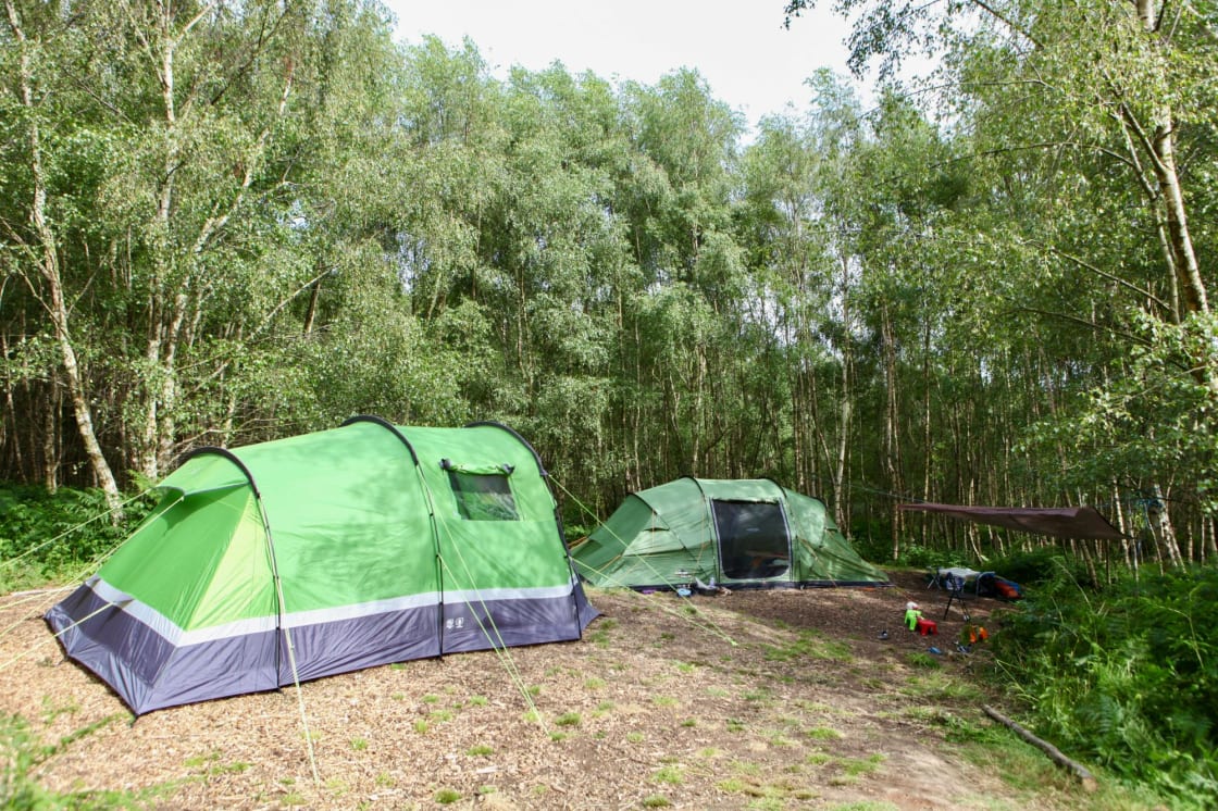 Double Forest Tent Pitch