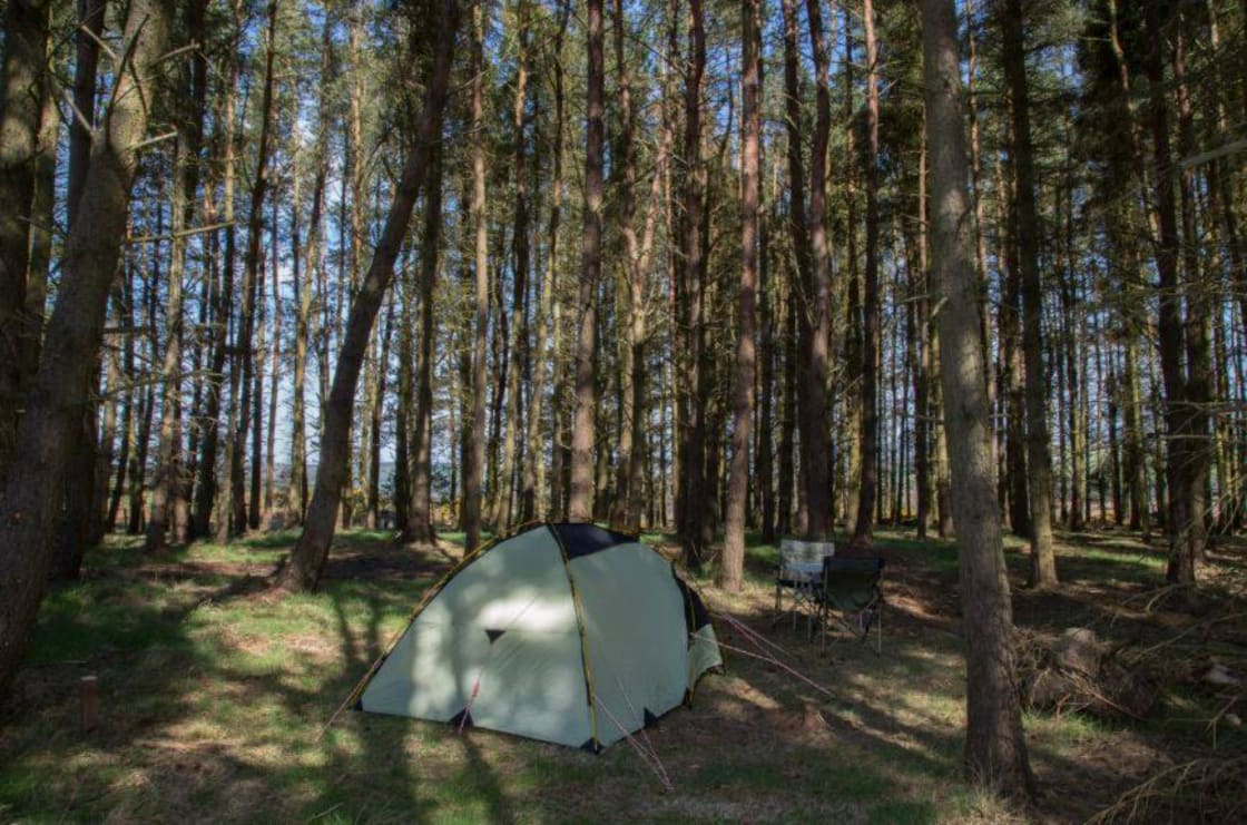 Ruberslaw Wild Woods Camping