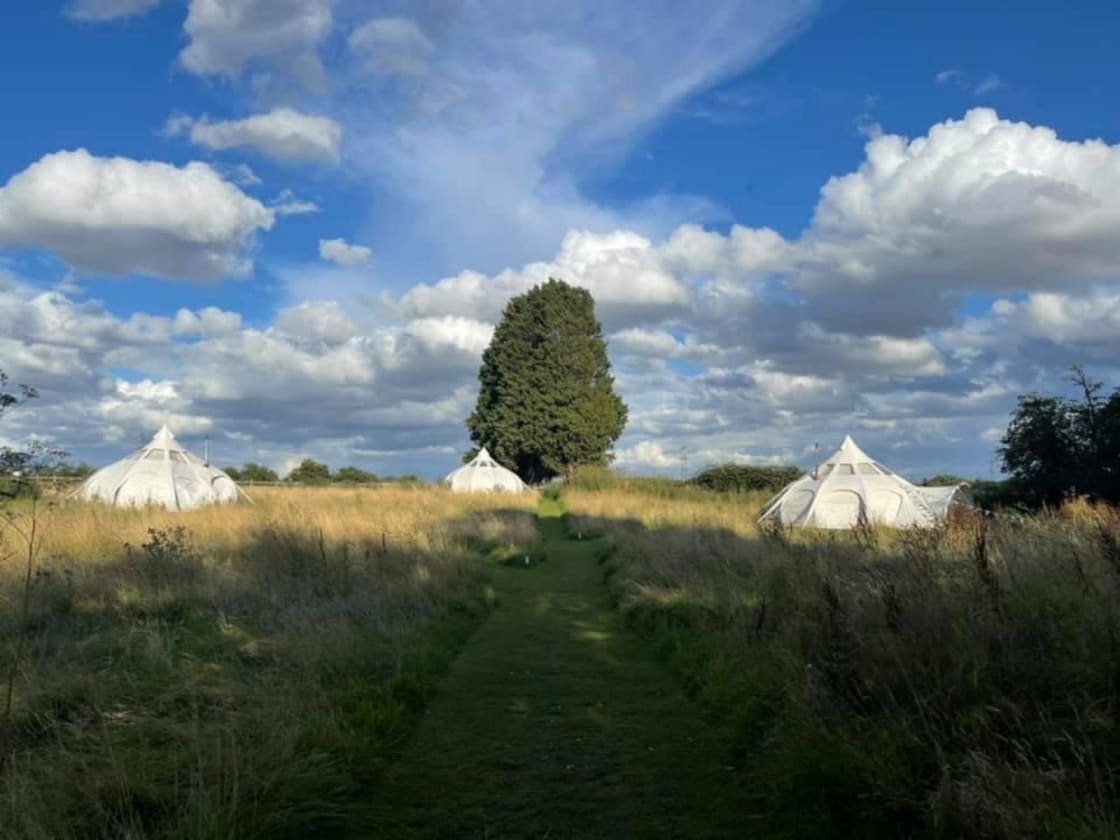 Our glamping meadow 