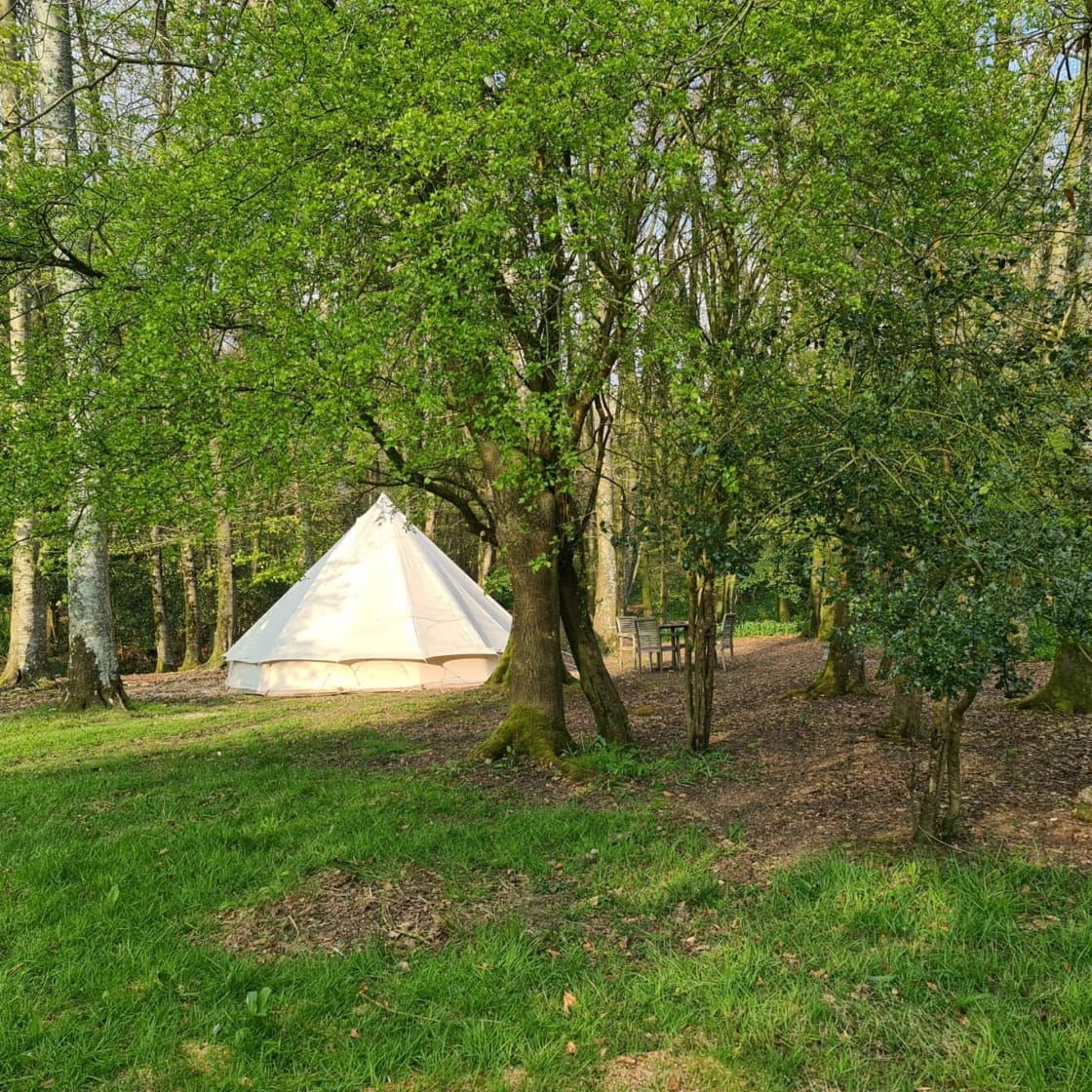 Wytch Wood Camping