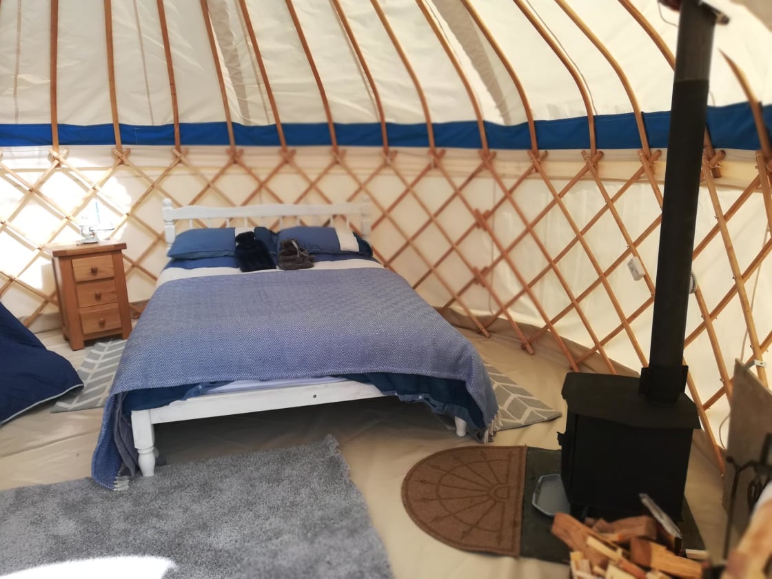 Buzzard yurt