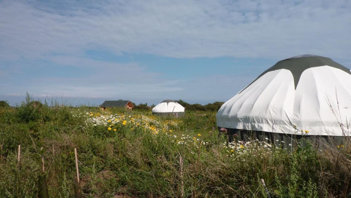 Luxury camping in an eco-friendly South Hams hideaway. 