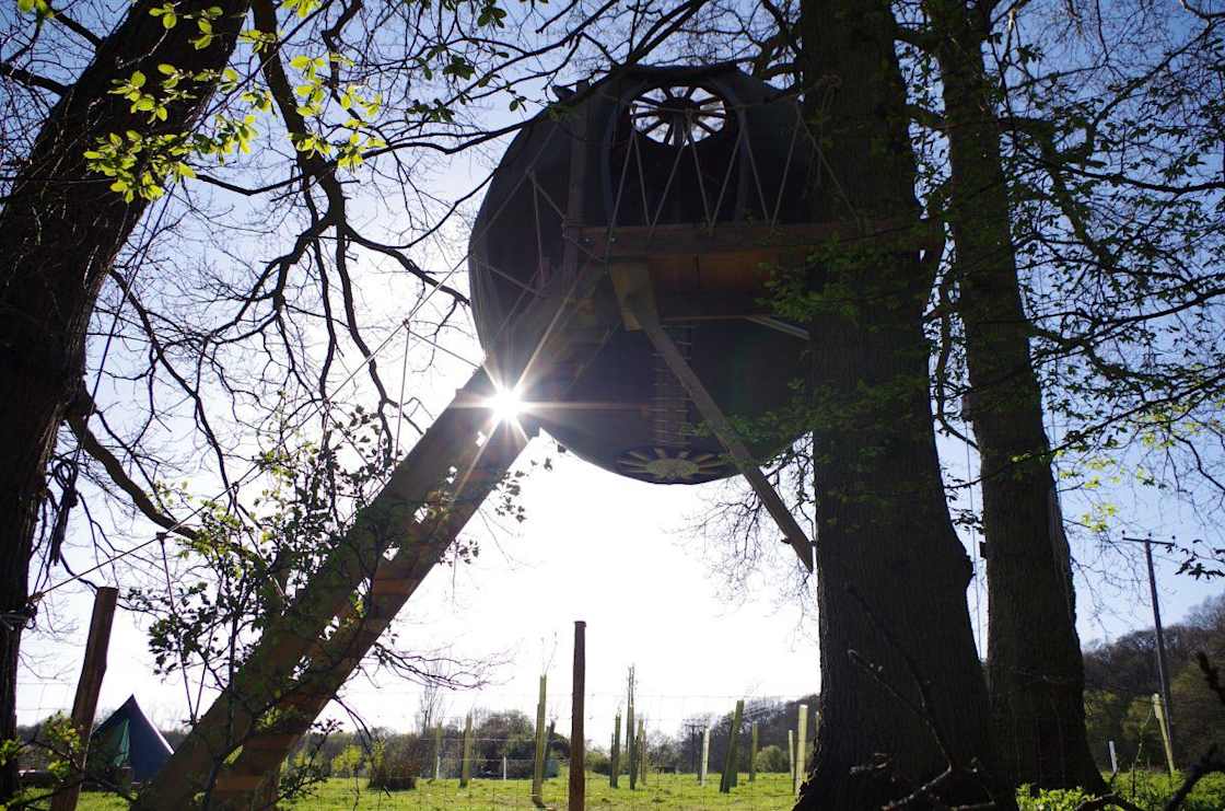 Tree Tent