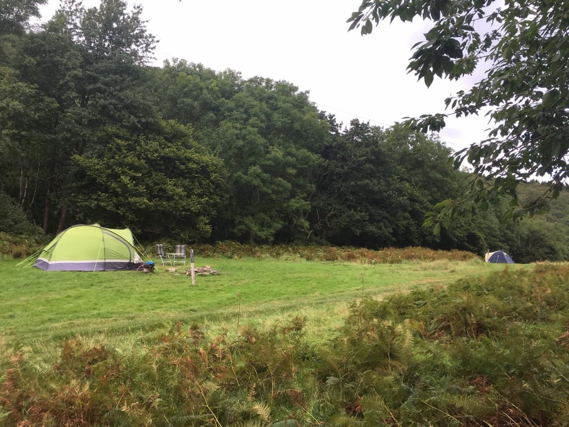 Two of the three Super Secluded tent pitches