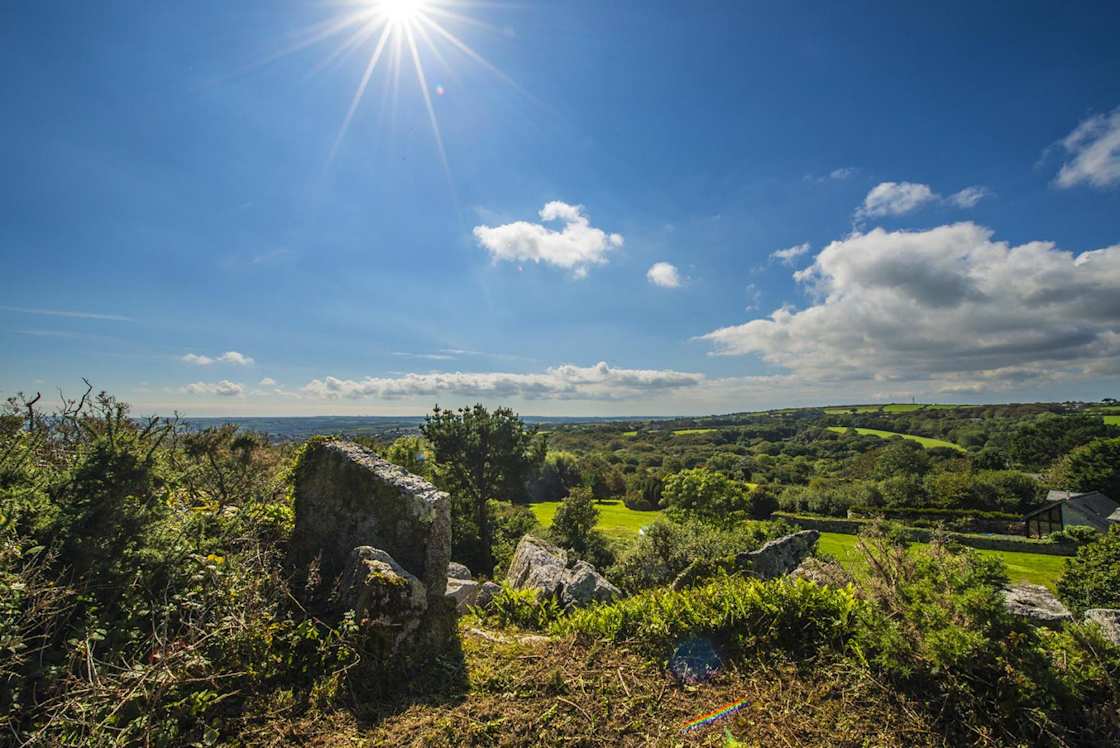 Retallack Woodlands