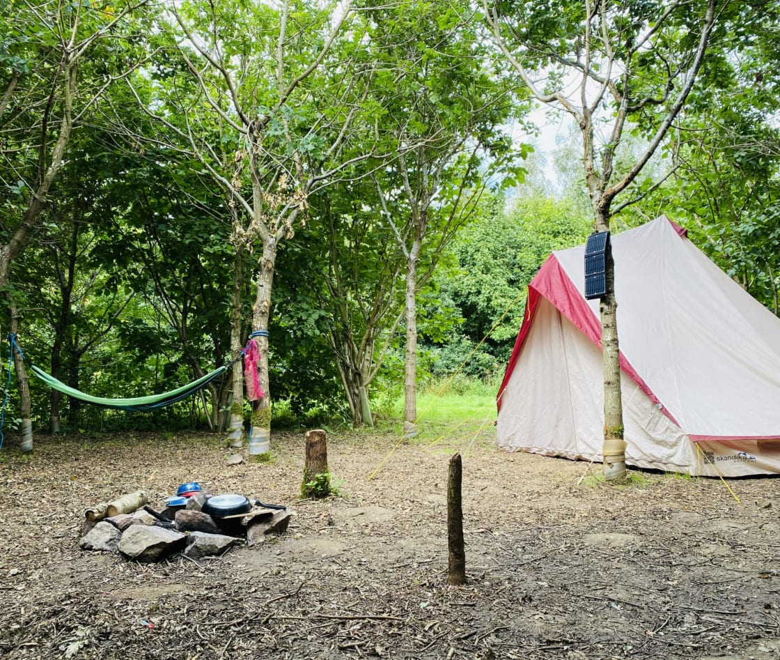 Woodland camping with a campfire area at each pitch and space to sling a hammock.