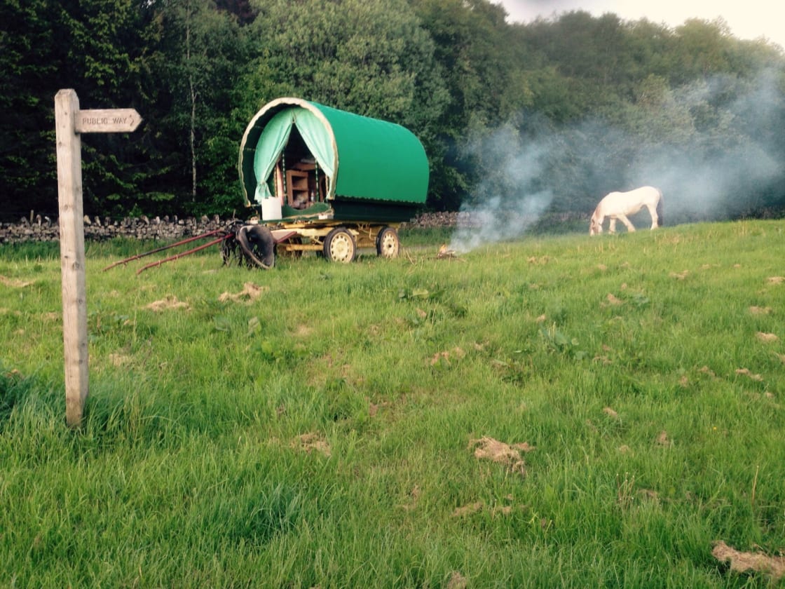An exceptional Lake District glamping experience with real on-the-road journeys in a traditional gypsy caravan.