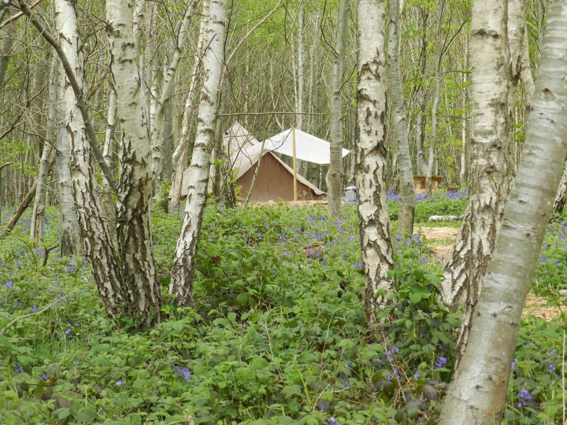 'Wild Glamping' Bell Tent