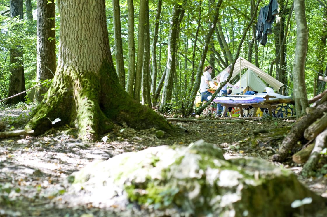 Forest camping for families that's wonderfully wild, natural and eco-friendly despite being just an hour from central Paris.