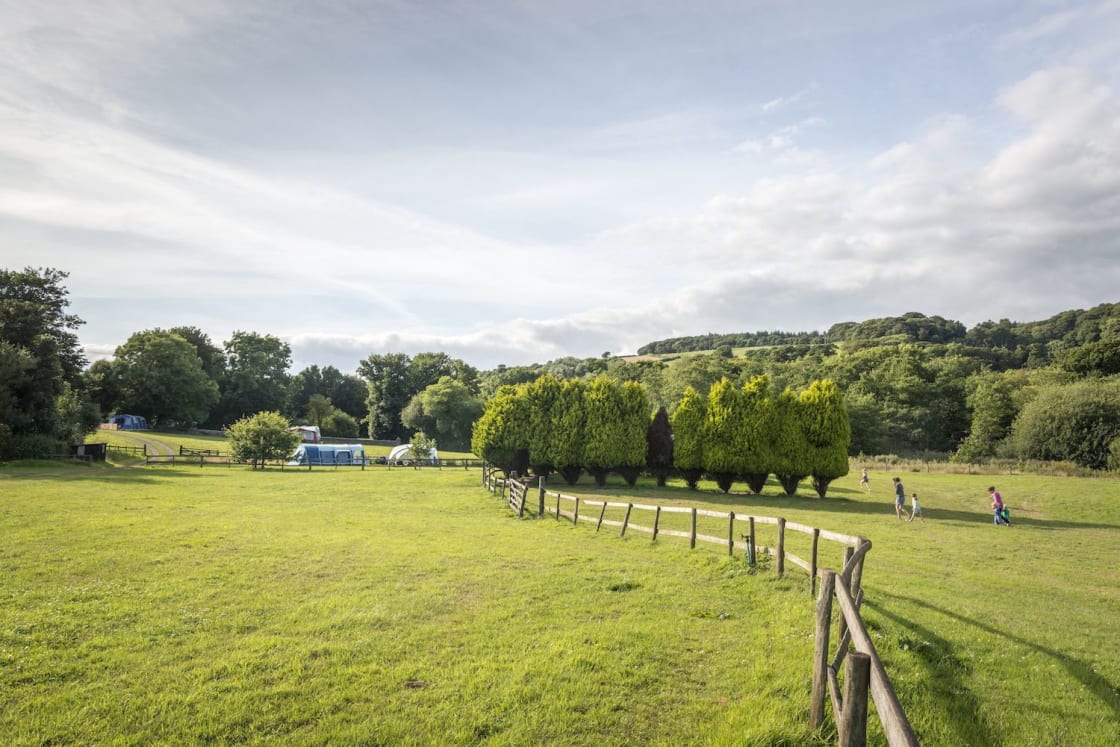 A secret, secluded campsite with wonderful Dorset views.