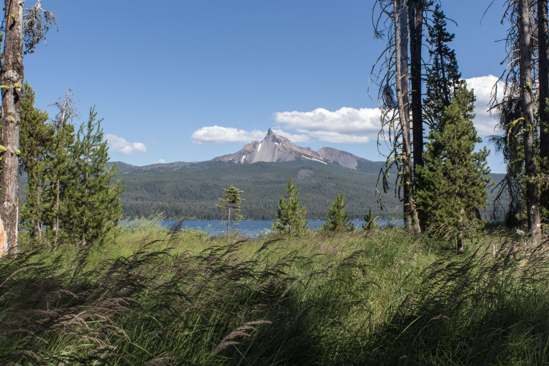 View of Mount Thielsen from the Campground.