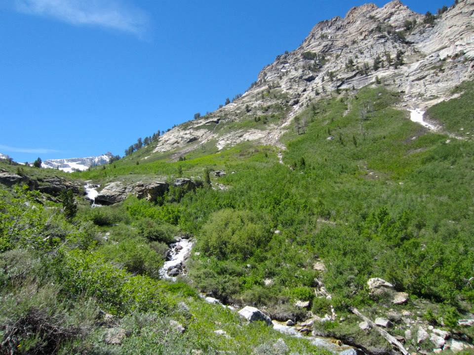 Awesome hiking trail starts in between 2 campsites. Waterfalls, creek, snow-- beautiful!