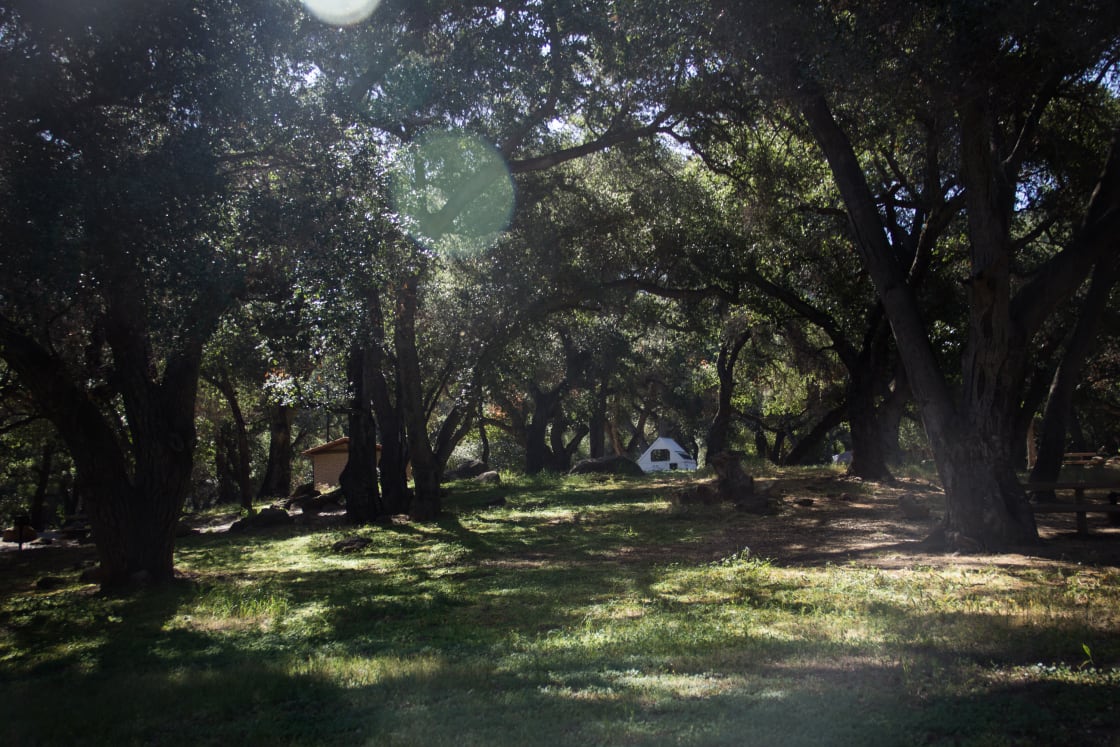 Los Prietos Campground is pleasantly shady and a great site for those newer to camping. 