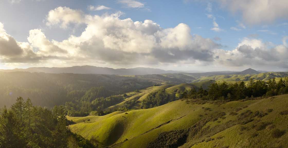 A scenic view of Samuel P. Taylor State Park