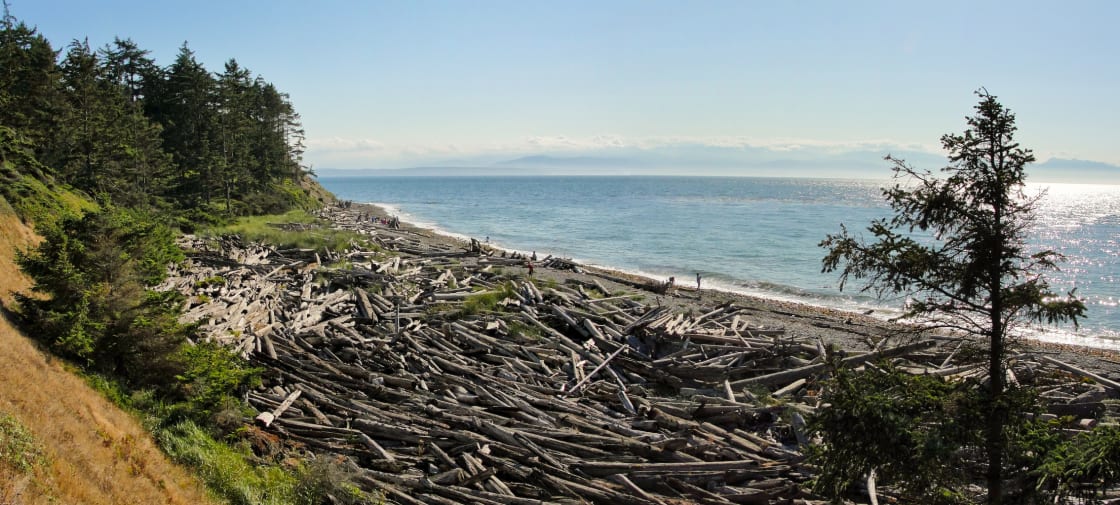 Fort Ebey Campground