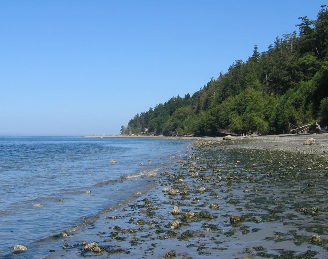 South Whidbey Island State Park
