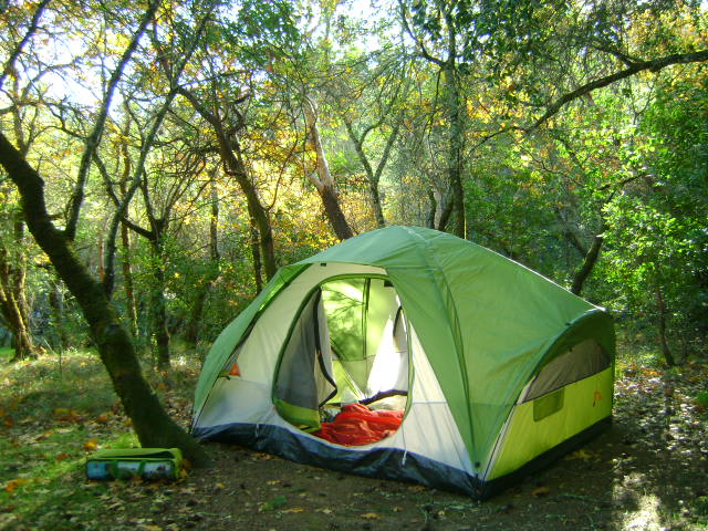 Bothe-Napa Valley Campground