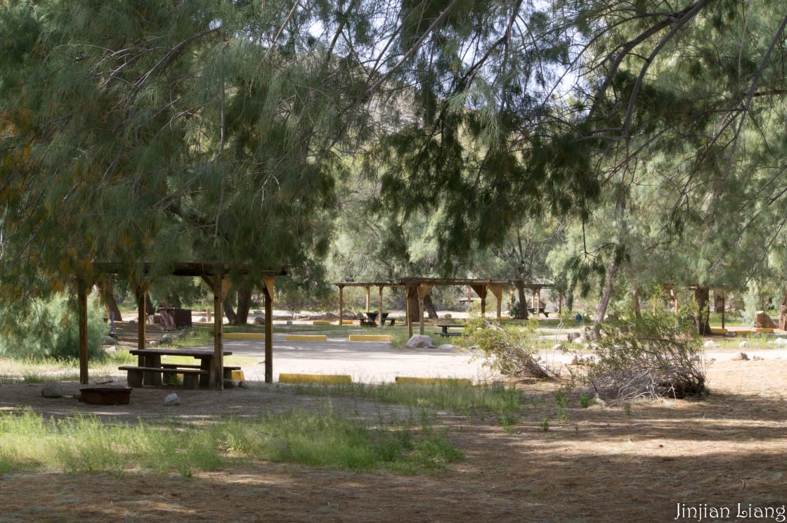 Tamarisk Grove Campground