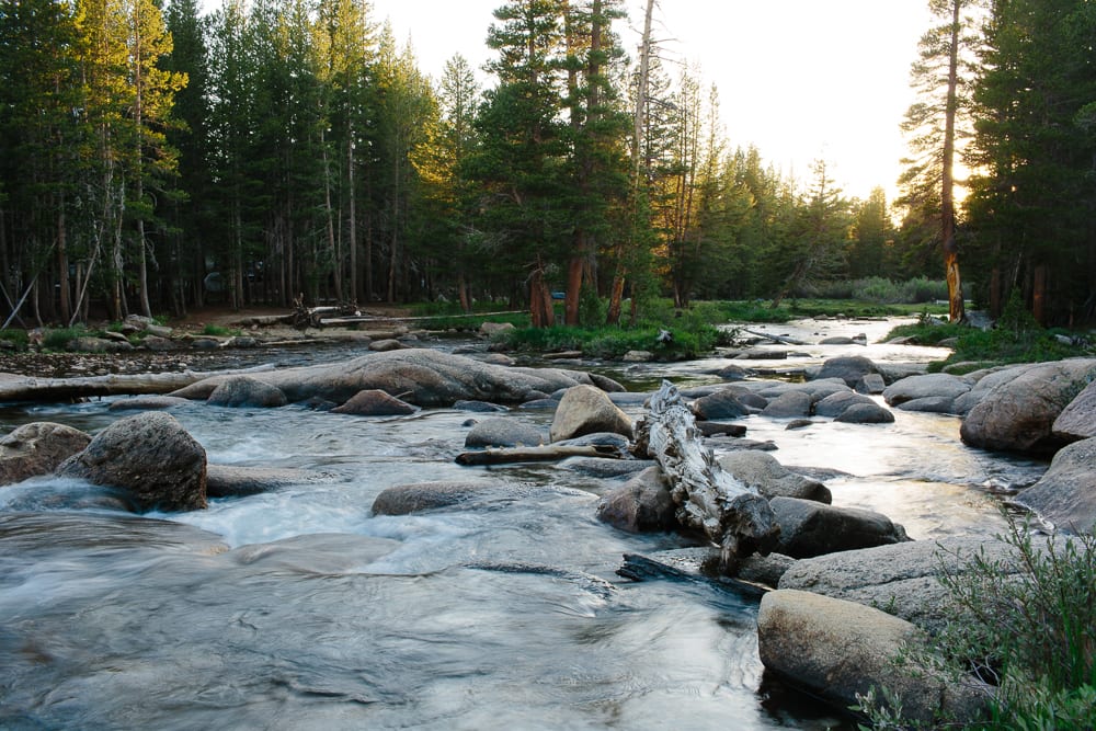 The A loop of campgrounds are right next to the Tuolumne River.