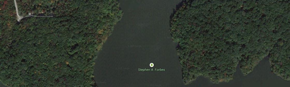 Stephen A. Forbes State Recreation Area