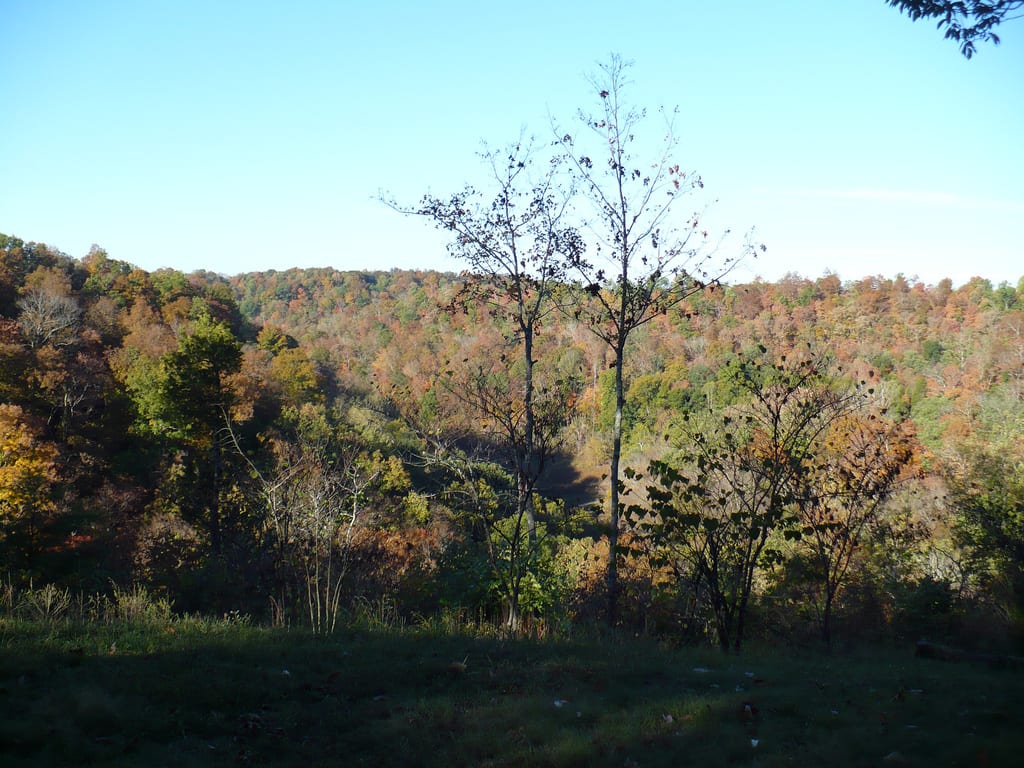 Fall Creek Campground