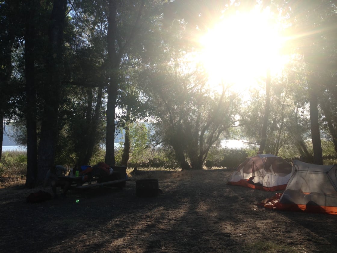 morning by the lake at camp #85