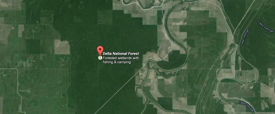 Delta National Forest