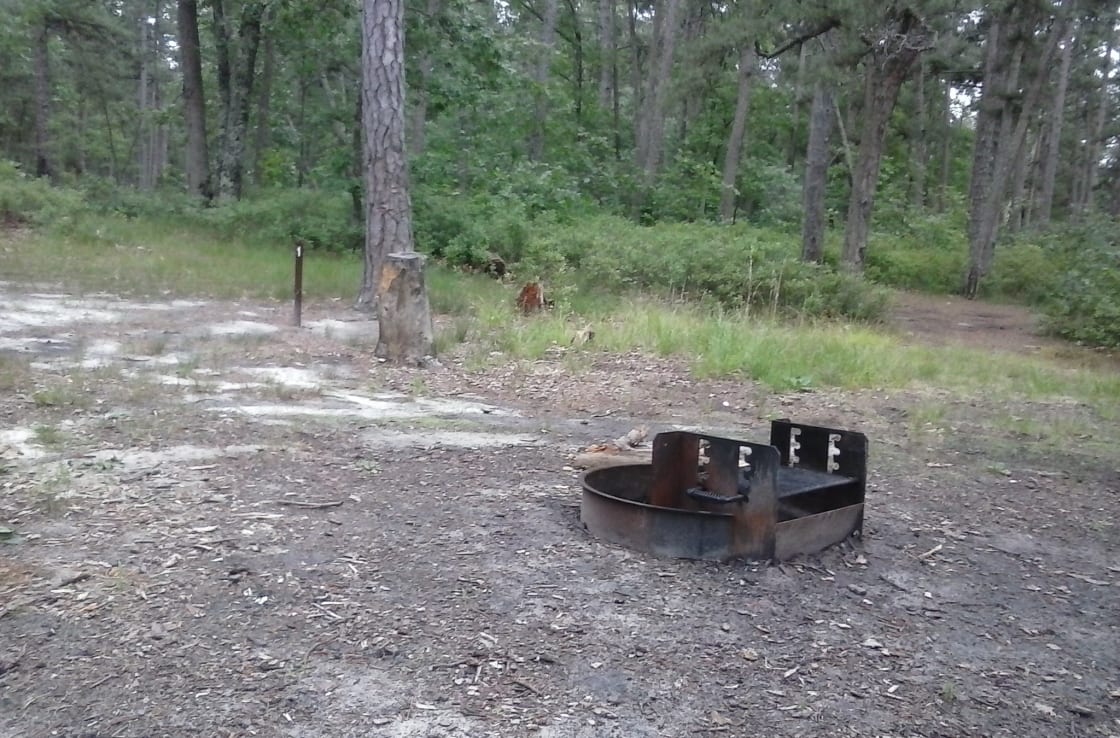 This is Campsite 1 at Lower Forge Campground. There is a fire ring. That's it. 