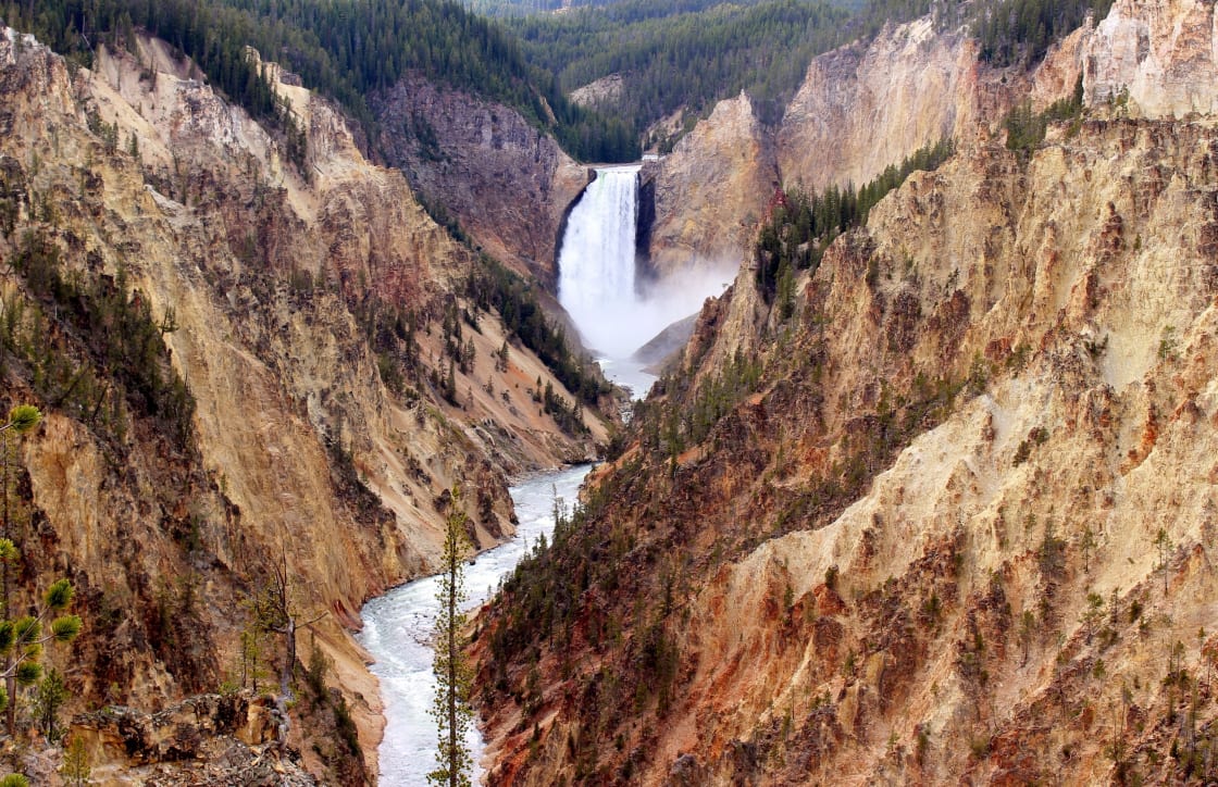 A scenic view of Yellowstone National Park