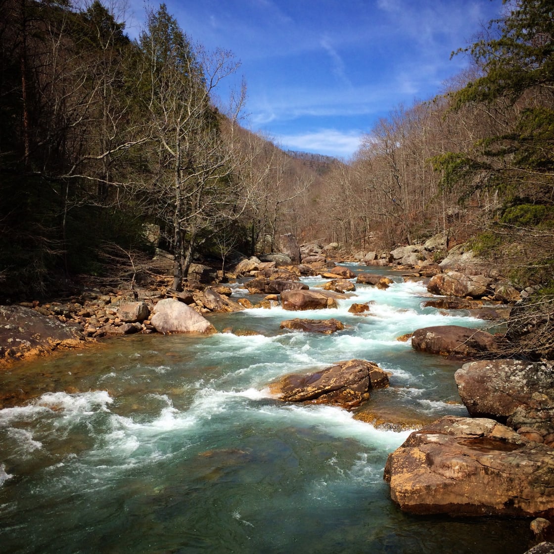 Be sure to check out North Chickamuaga Creek Gorge! 
