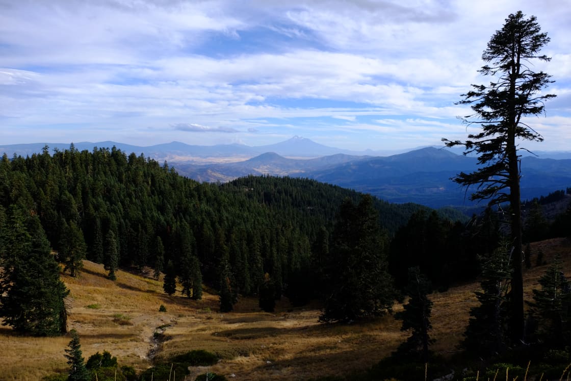 Ahhhh Ashland - A Shasta-tastic view awaits you each day in this area!
