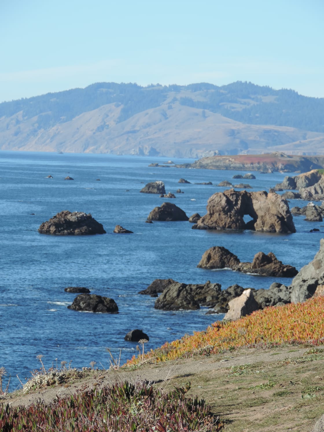 This Sonoma coast is only minutes away. 