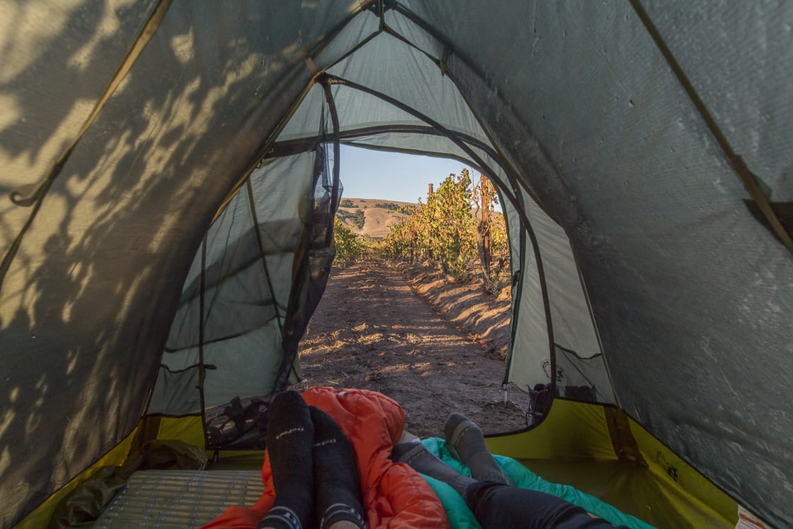 Morning tent view. 