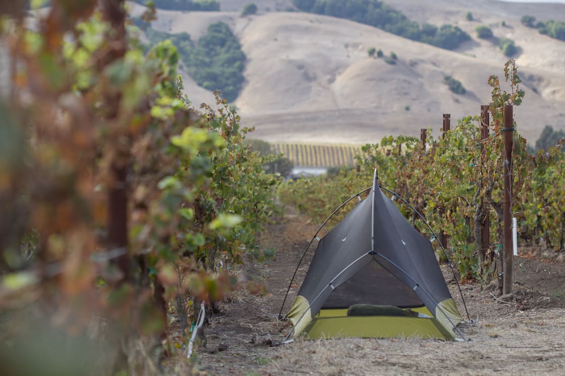 Tent spot in the vineyard. 