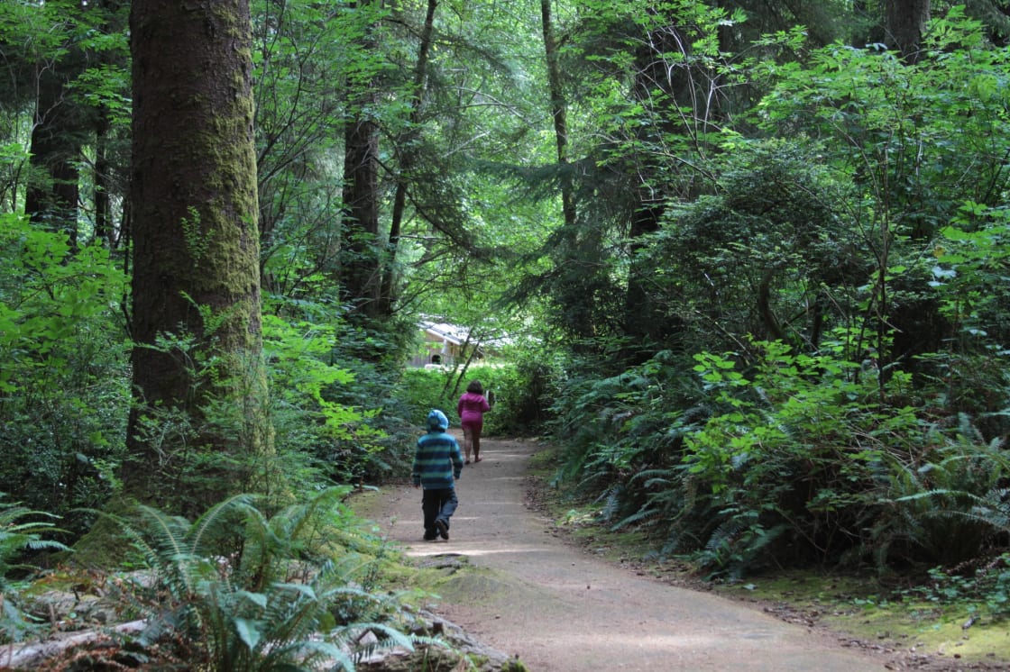 Path to Yurok Village