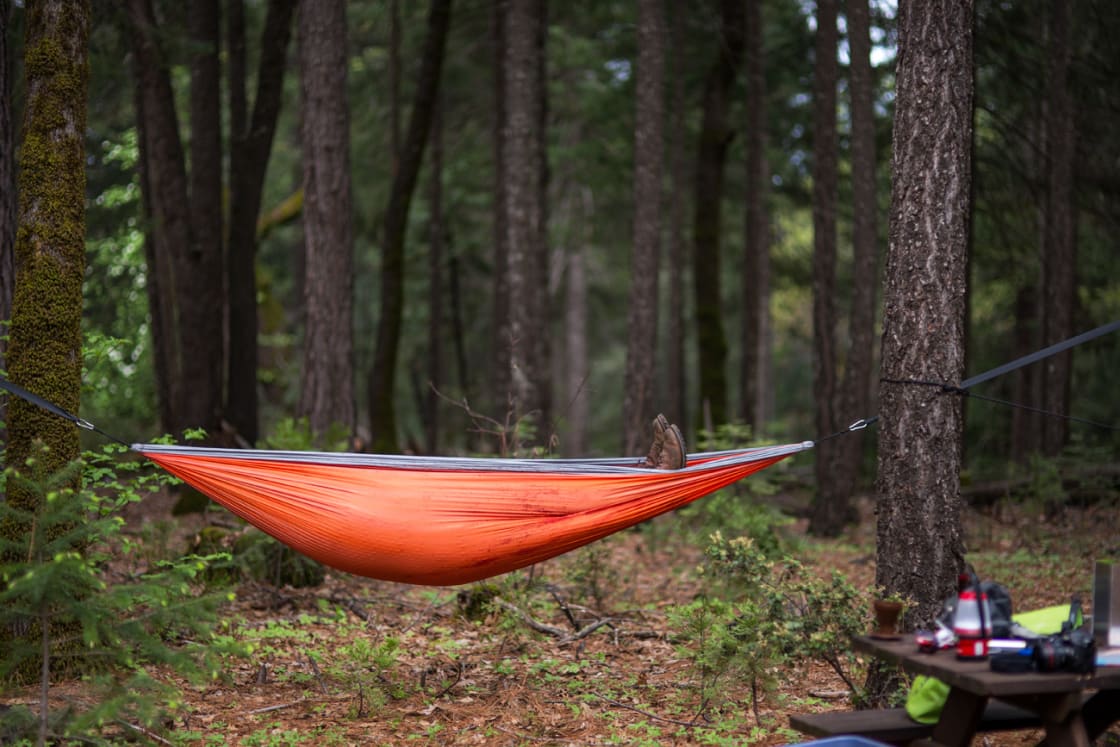 If you own a hammock, this is the place to bring it
